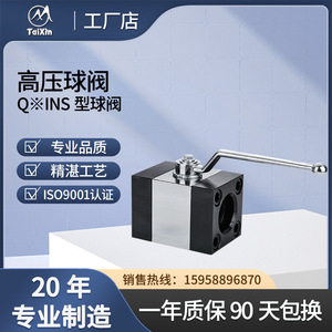 วาล์วบอลไท่ซินไฮดรอลิกส์ Q1INSQFINS วาล์วแบบมีหน้าแปลน แรงดันสูง ผลิตจากเหล็กหล่อ วาล์วไหลผ่านตรง - Product Image 5