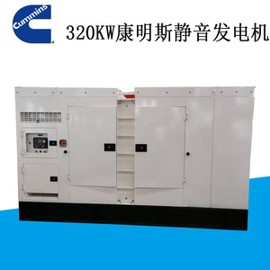 Générateur diesel Jiangsu Wantai 320 kW, silencieux, 50 Hz, 230/400 V, utilisation extérieure - Product Image 5