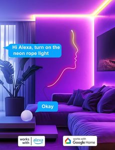 Lighting OEM ODM Rgb Magic Color Decoration <b>Led</b> Silicone <b>Tube</b> Neon Flex 12V Strip Neon Lights for Wall - Product Image 4