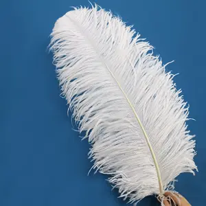 Natural Branco Grande Avestruz Penas Casamento Decoração de Casa 40-80cm Avestruz Plumas Mesa Centerpiece adereços foto Artesanato