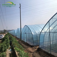 Kits de Invernadero Agrícola de Gran Tamaño y Bajo Costo, de un Solo Vano, de PE, para Cultivo de Flores, con Control de Temperatura para Plantación Durante Todo el Año