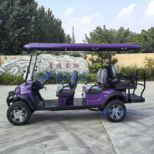 Mini Club Car de 6 Plazas, Vehículo Eléctrico Todoterreno de Alta Potencia, Carro de Golf para Uso en Parques y Zonas Turísticas - Product Image 3