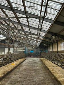 Ứng dụng kiểm soát 220V quạt lưu thông cho gia cầm nhà 8 điểm cài đặt lưỡi nhựa thiết bị trang trại - Product Image 6