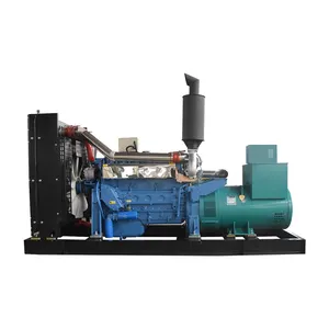 Usa Epa Goedgekeurd 10kw Diesel Generator Met Uk Motor 12kva Watergekoelde Generator Set Voor Puerto Rico