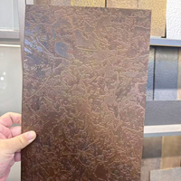 Tôle décorative en acier inoxydable bronze antique de luxe à motif texturé vieilli pour murs intérieurs et meubles