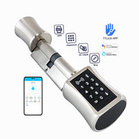 TTlock APP Euro mortaise cylindre de serrure clé électronique RFID NFC Code de carte serrure de porte intelligente cylindre C001C