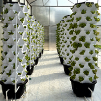 Tour d'ananas hydroponique, système hydroponique vertical automatique