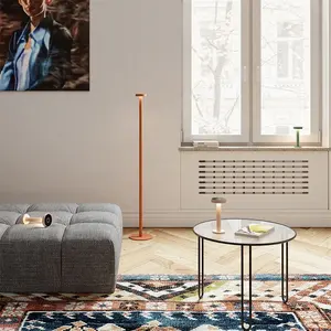 Groothandel Modern Design Cordless Home Decor Luxe Hedendaagse Floor Lamp