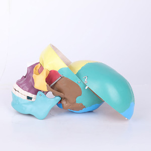 Pvc blanco avanzada alta calidad pélvica en la <span class=keywords><strong>mujer</strong></span> Anatomía Humana 85 cm modelo <span class=keywords><strong>de</strong></span> <span class=keywords><strong>esqueleto</strong></span> - Product Image 1