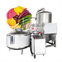 Petite friteuse à vide automatique, machine à frire les fruits et légumes, mini friteuse électrique domestique à vide, prix bas à vendre
