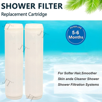 Filtre de douche de remplacement pour douchette à main, filtre pour eau dure, élimine le chlore et les substances nocives