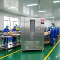 Séchoir alimentaire électrique commercial WRH-100GN pour la séchage des fraises, des pommes, des raisins, des écorces d'orange et du thé