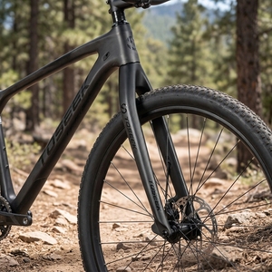 토시크 카본 MTB 리지드 포크 26/27.5/29인치 100x9mm 카본 산악자전거 포크 28.6mm 스트레이트 스티어러 카본 MTB 리지드 포크 OEM - Product Image 1