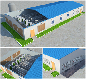 กรงเลี้ยงไก่ไข่อัตโนมัติแบบ A-Frame คุณภาพสูงสำหรับโรงเรือนสัตว์ปีก สภาพใหม่ - Product Image 2