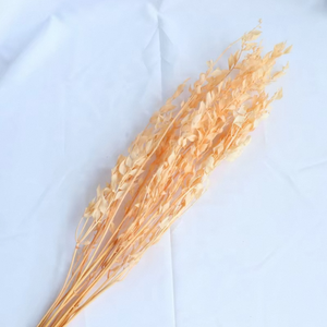 Venta al por Mayor de Hojas de Dracaena <span class=keywords><strong>Sanderiana</strong></span> Preservadas, Ruscus para el Día de San Valentín, Adornos Eternos, Venta Caliente, OEM, ODM - Product Image 6