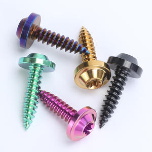 工場低価格卸売チタン合金プラムセルフタッピングネジM5 X 25mmオートバイ改造ネジGr5チタンボルト - Product Image 3