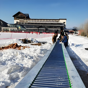 Tappeto Magico Personalizzato per Sci: Nastro Trasportatore Sicuro per Trasporto Montato su Rotaia in Pendenza per Stazioni Sciistiche e Parchi sulla Neve - Sollevatore da Sci a Tappeto Magico - Product Image 6