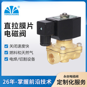 Eternal Zcm21 Direct Pull Diaphragm Solenoid Valve 220V Ac Two Way For Air Water Oil 0 1 Mpa Unidirectional Hydrophobic - Product Image 5