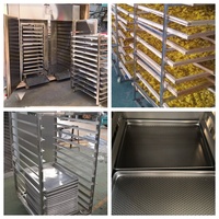 Séchoir à fruits chauffant à vapeur de marque NP déshydrateur d'aliments sécheur au propane 230v pour fruits et légumes