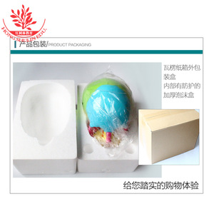 Modèle de crâne coloré, modèle de crâne réaliste en 22 parties détachables pour l'art et la médecine. - Product Image 4