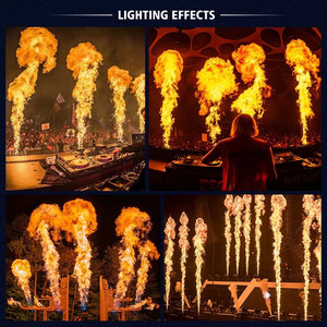 Machine à Effets Scéniques DMX Lance-Flammes et Projecteur Métallique 2-3m Hauteur de Jet 200W pour Utilisation Extérieure/Intérieure Scène Théâtre <span class=keywords><strong>DJ</strong></span> - Product Image 4
