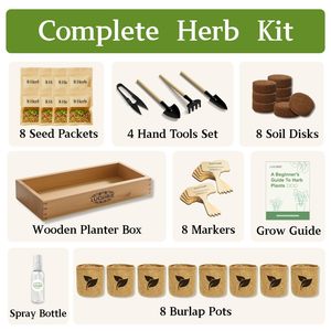 <span class=keywords><strong>Kit</strong></span> de Bonsái de Interior Ecológico de Diseño Moderno y Lujoso, con Fibra Vegetal, Manualidades de Jardinería para Principiantes y Adultos - Product Image 2