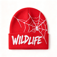 Bonnet en tricot imprimé numérique Y2K motif toile d'araignée WILDLIFE, bonnet d'hiver à revers, style streetwear, chaud, en acrylique, pour hommes et femmes