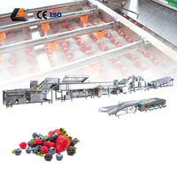 Commerciële olijfstengelverwijderaar, fruit sorteerder, cherry tomaten grader, spray bubbelwasser, automatische fruitwaslijn