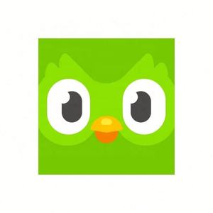 Cuenta Premium Duolingo Pro 1 Año, Activa Tu Propia Cuenta, Aplicable Globalmente en Todo el Mundo - Product Image 3
