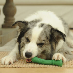 Çin fabrikada özel etiket tedavi dağıtım sert köpek oyuncaklar için agresif chechedoğal kauçuk kemik yeşil L - Product Image 6