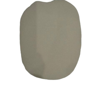 Poudre d'alliage Haynes NS 163 haute performance pour applications industrielles à haute température et métallurgie des poudres