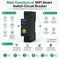 Disjoncteur intelligent Zigbee EPEPRO 1-63A AC 80-300V avec contrôle à distance WiFi via l'application Tuya, moniteur d'énergie, minuterie, interrupteur 6kA en plastique