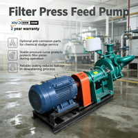 Pompa Slurry Feed Filter Press, Pompa Pemisah Padatan Cair Konsentrasi Tinggi, Pompa Sentrifugal Listrik untuk Tambang Lumpur Batubara