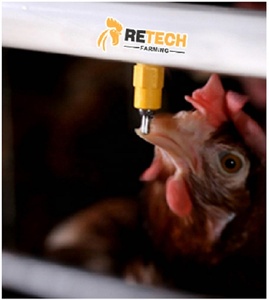 Gia Cầm tự động Hai Lớp Gà Chim Nước Núm Vú Người Uống cho Pin Lồng - Product Image 3