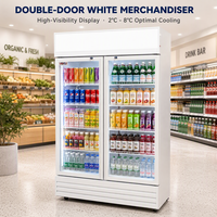 Réfrigérateur-congélateur vertical commercial à refroidissement direct et par air, porte vitrée, sans givre, étagères réglables pour hôtels et magasins