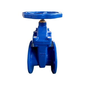 Válvula de Compuerta Manual de Hierro Dúctil GGG50 de 50mm con Asiento Metálico DIN 3355 F5 PN16 - Product Image 6