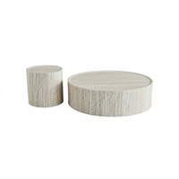 Ensemble de tables basses rondes modernes en MDF, design stable pour salon et réception de café, vente chaude, meubles de salon