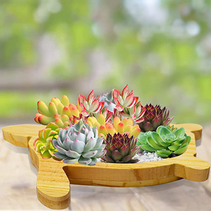 <span class=keywords><strong>Vasi</strong></span> <span class=keywords><strong>per</strong></span> <span class=keywords><strong>Piante</strong></span> <span class=keywords><strong>Grasse</strong></span> a Forma di Tartaruga in Legno, Mini <span class=keywords><strong>Vasi</strong></span> <span class=keywords><strong>per</strong></span> Succulente e Bonsai, Vendita all'Ingrosso - Product Image 4