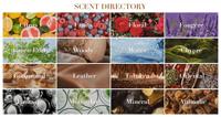 Diffuseur de parfum d'ambiance 200 ml, direct usine, pour hôtel et maison, avec bâtonnets décoratifs en forme de fleur, coffret cadeau