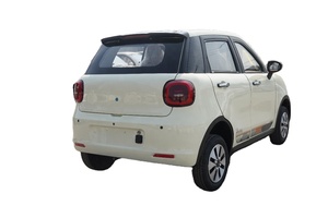 Vehículo Eléctrico Compacto Mini para Adultos, Nueva Energía, Largo Alcance, 4 Ruedas, con 101-200 km de Autonomía y 13000 W de Potencia - Product Image 5