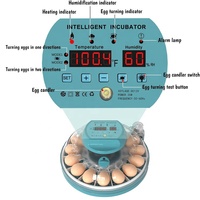 Le plus récent mini incubateur 30 oeufs incubateur d'oeufs automatique double puissance