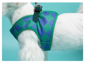 Arnés de Paseo para Perros de Malla de Poliéster Personalizado al por Mayor con Chalecos y Correa a Juego - Product Image 3