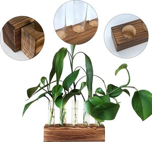 Station de propagation pour plantes, support en bois avec 5 tubes en verre, terrarium de bureau pour la décoration de la maison, du bureau et du jardin - Product Image 3
