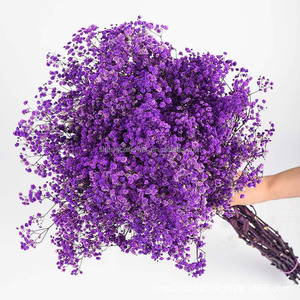 プリザーブドベビーブレスカラフルな結婚式の装飾プリザーブドジプソフィラと植物乾燥ベビーブレスフラワー - Product Image 5