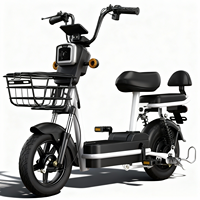 Scooter Eléctrico Ligero de Dos Plazas en Oferta, Batería de Litio de 48V, Bicicleta Eléctrica para Viajes Urbanos Cortos
