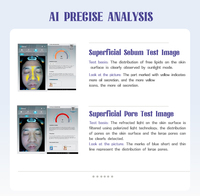 Analyseur de peau 3D magique numérique professionnel Scanner de peau analyseur de peau faciale machine d'analyseur de visage
