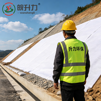 Géotextile aiguilleté à haute résistance WSL pour le traitement des fondations de sols molles sur autoroutes et l'élargissement de routes à fibres longues