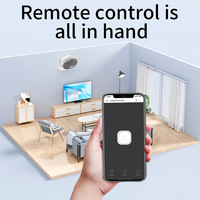 Enchufe Inteligente con Enchufe Brasileño, Temporizador Wi-Fi, Medidor, Aplicación Remota, Control por Voz Inteligente, Pantalla OLED Android