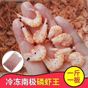 Krill congelé de qualité supérieure - Product Image 6