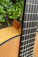 Aiersi Brand High Quality All Solid Cedar Top Flamenco 39 Inch Classical Guitar for Sale Professional Instrument